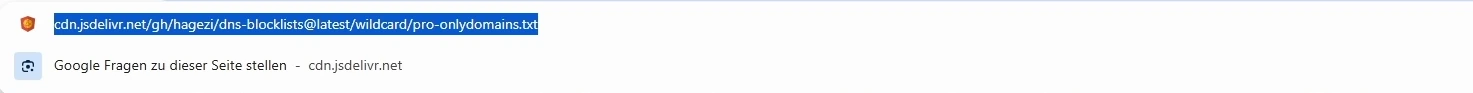 Adressleiste mit der URL zur HaGeZi-Pro-Liste pro-onlydomains.txt.