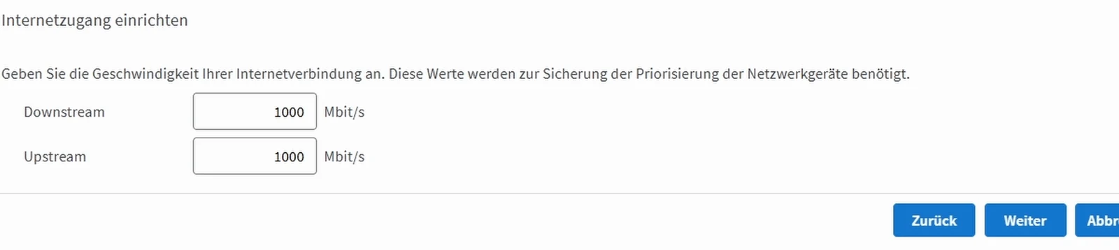 Eingabefelder Downstream und Upstream mit Beispielwerten von jeweils 1000 Mbit pro Sekunde